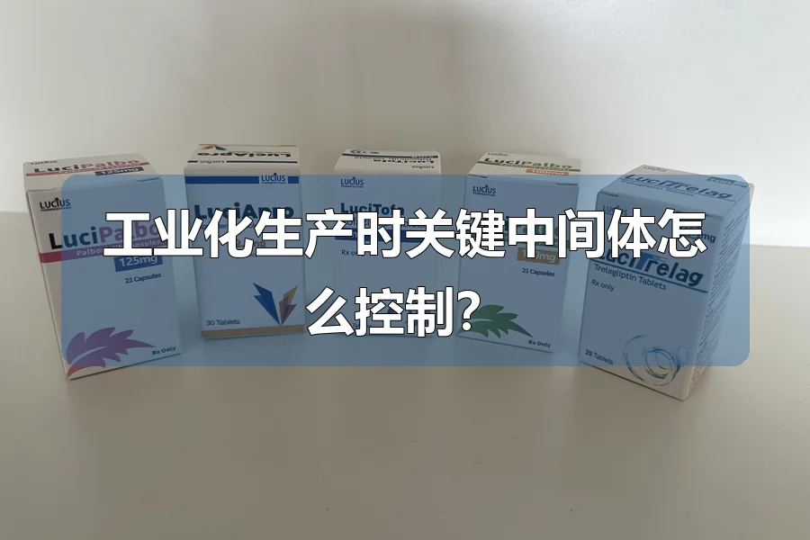 工业化生产时关键中间体怎么控制?